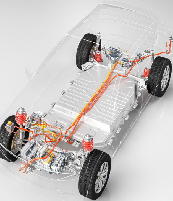main-harness