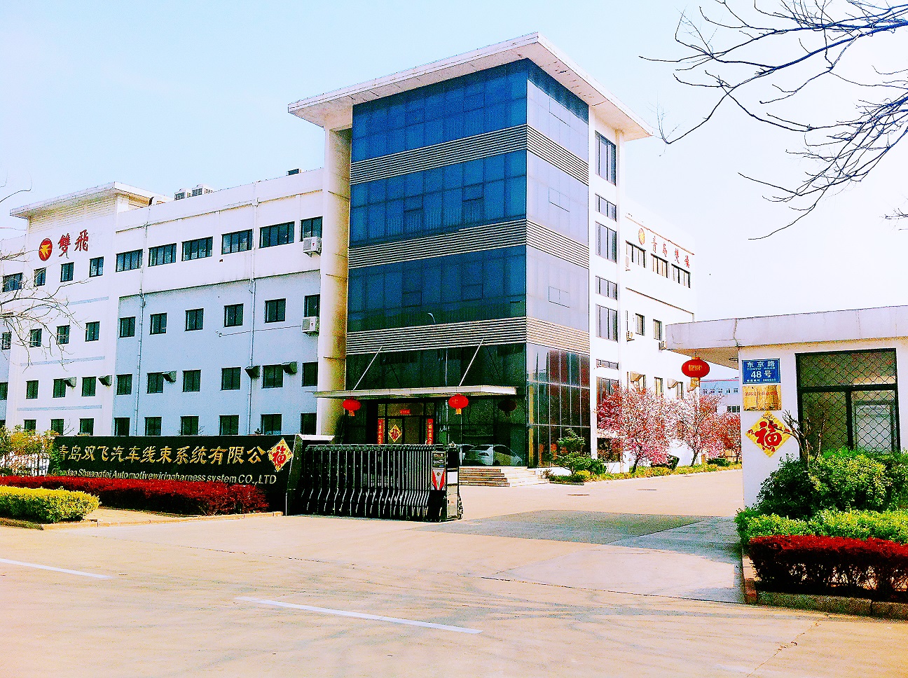 Ekspansi Cabang Qingdao